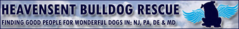 HeaventSent Bulldog Rescue - Finding Good People For Wonderful Dogs in: NJ, PA, DE & MD.