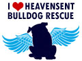 HeaventSent Bulldog Rescue - Finding Good People For Wonderful Dogs in: NJ, PA, DE & MD.