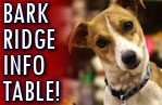 Come see us at Bark Ridge in Park Ridge! 
