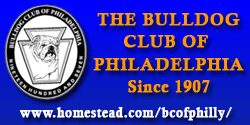 The Bulldog Cub of Philadelphia
