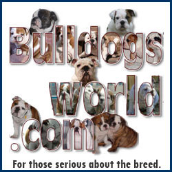 Bulldogsworld.com