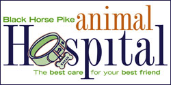 Black Horse Pike Animal Hospital