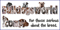 www.bulldogsworld.com the ultimate bulldog guide