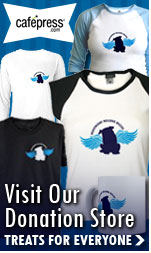 Bulldog Shirts