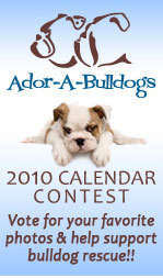 Calendar Contest!