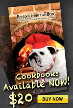 Cookbook fundraiser