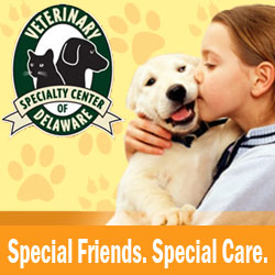 Veterinary Specialty Center of Delaware