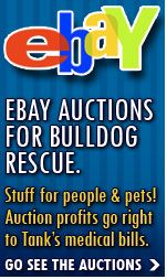 Ebay Auctions for Bulldog Rescue