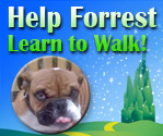 Help Forrest learn to walk