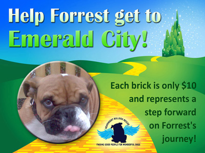 Forrest's yellow brick road Fund raiser