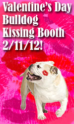 BULLDOG KISSING BOOTH!