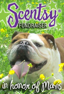 Mavis fundraiser