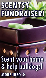 All your favorite SCENTSY products!