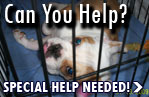 Bulldogs in need of urgent help.