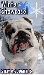 WINTER PHOTO SHOWCASE!