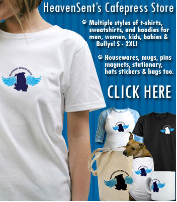 Bulldog Rescue Shirts!